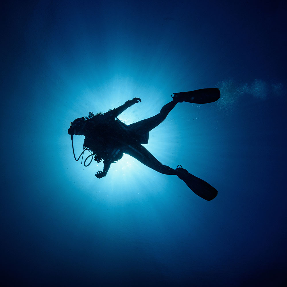 SDI Scuba Discovery | Scuba Training & Service