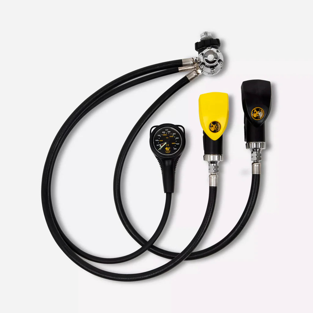 Poseidon Xstream Regulator Servicing